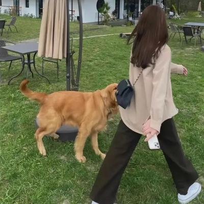 白雪皇后的报复